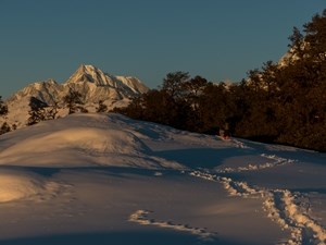 brahma tal trek