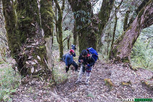 phoktey dara trek