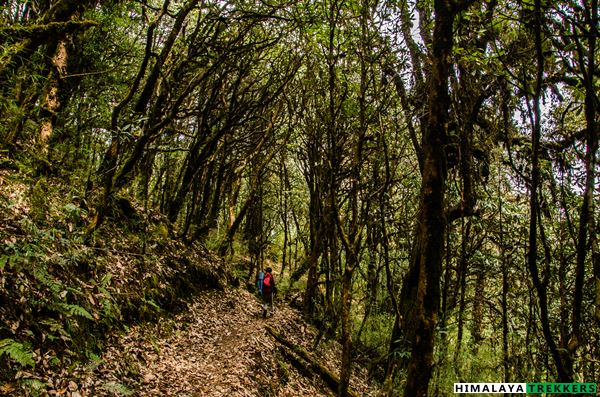 phoktey dara trek