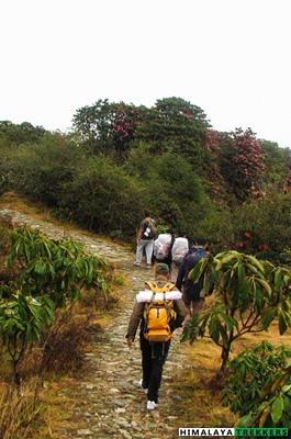 Towards Barsey in spring