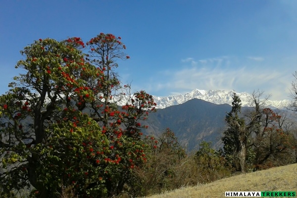 brahma-tal-trek-view-in-spring