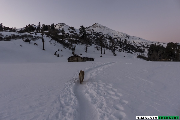 on-the-way-to-kedarkantha-peak