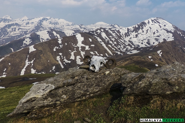 sahastra-tal-trek-trail