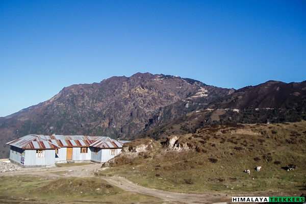 the-climb-from-kalapokhri-to-sandakphu