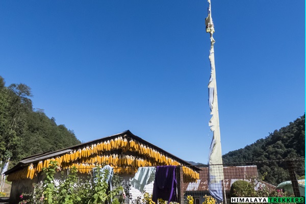 sandakphu-trek-timburey-village