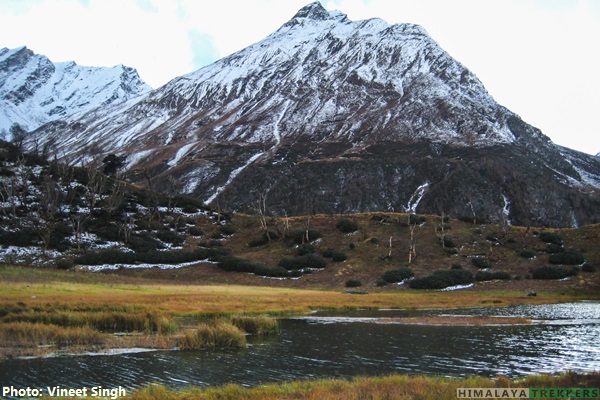 ruinsara-foliage-in-fall-bali-pass-trek