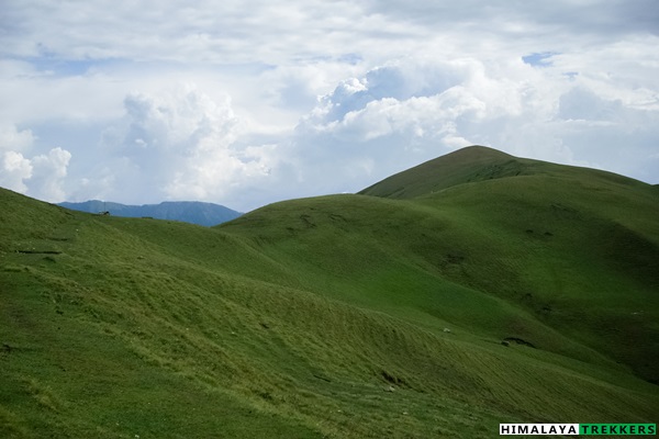 ali-bugyal-expanse-like-windows-xp-roopkund-trek