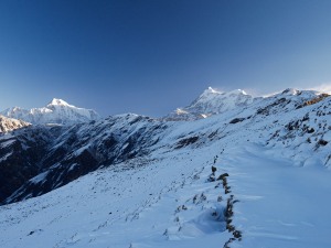 bedni-bugyal-winter-trek