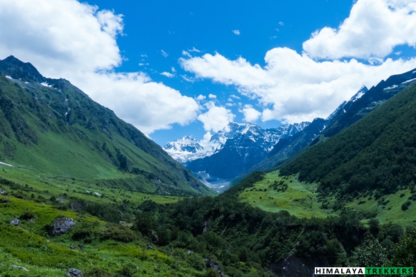 valley-of-flowers-on-pushwawati-valley