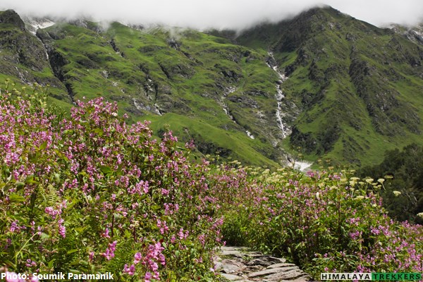 Valley Of Flowers Trek 2021 | HIMALAYA TREKKERS (HT Treks)