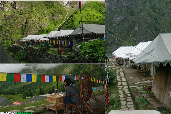 valley-of-flowers-trek-premium-swiss-tents-tour-package