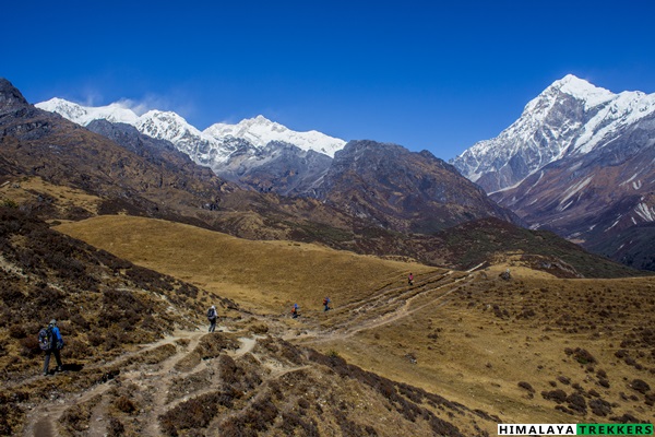 dzongri-meadows-on the-way-to-laxmi-pokhri-lake