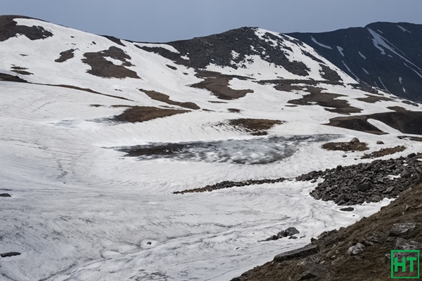 lamb-tal-fully-frozen-in-june