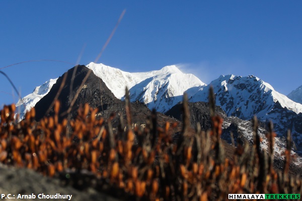 juniper-kabru-peaks-at-dzongri-trek-in-fall