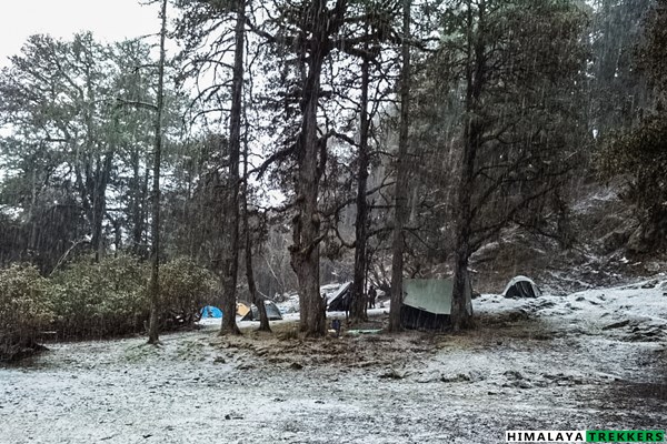 tali-campsite-snowfall-pangarchulla-trek