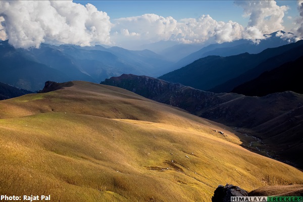 foliage-view-kaliheni-pass-trek