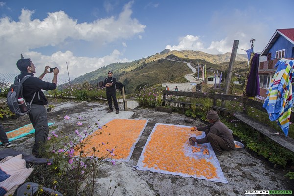 at-tumling-during-sandakphu-trek