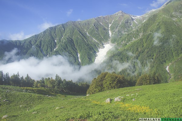 end-of-treeline-in-kaliheni-pass-trek