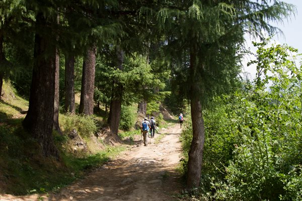 inside-manali-sanctuary-kaliheni-pass-trek