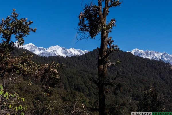 trishul-mrigthuni-devtoli-peak-panorama-from-brahmatal-trek