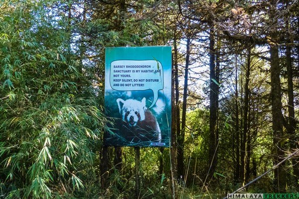 barsey-rhododendron-sanctuary-habitat-of-red-panda