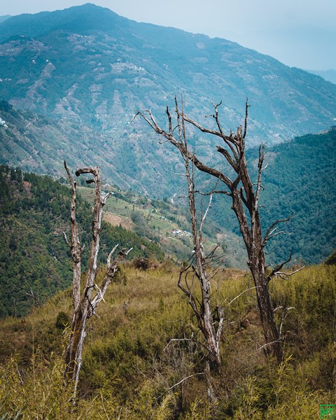 gurdum-village-as-seen-down-descending-from-sandakphu