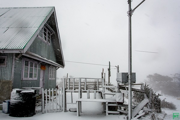 snow-covered-sandakphu