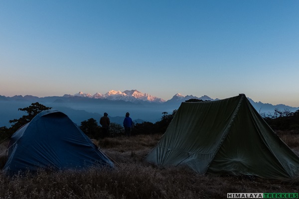 accommodation-option-at-barsey-rhododendron-sanctuary-in-tent