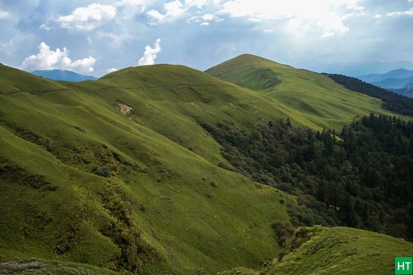 ali-bugyal-alpine-meadow