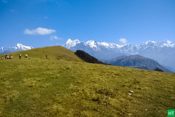 scenic-ali-bugyal-meadow-walk