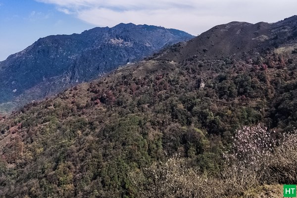 colours-on-mountains-from-kalapokhri-to-sandakphu