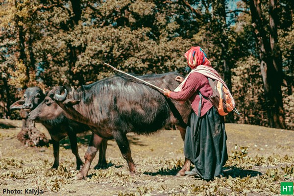 life-at-didna-village