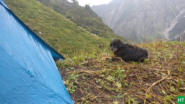 shepherd-camp-panpatia-trek