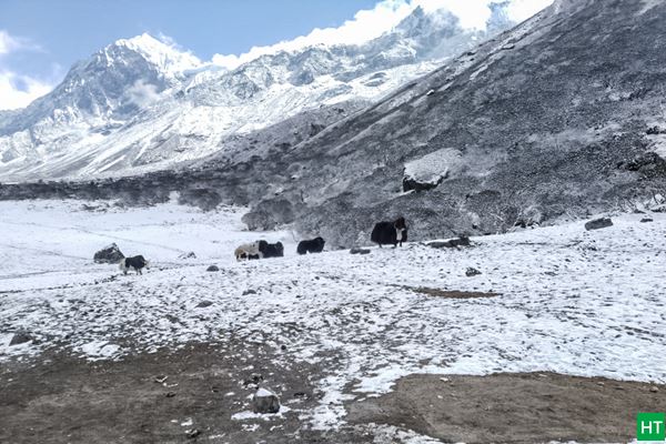 snowfall-at-thansing-goecha-la-trek