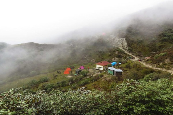 dzongri-camping-ground