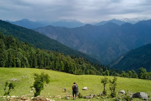 forest-and-meadows-before-reaching-phulara-ridge