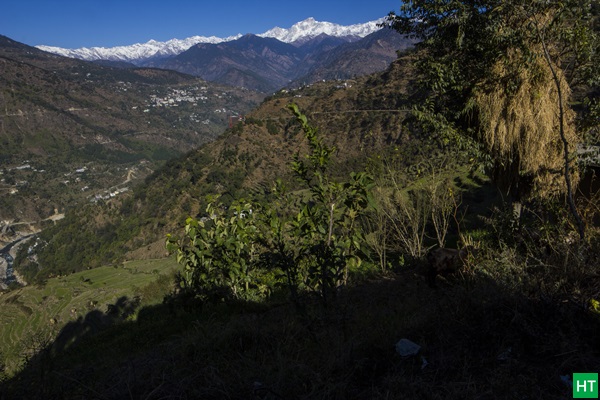 peak-views-on-the-way-from-ukhimath-to-sari-village
