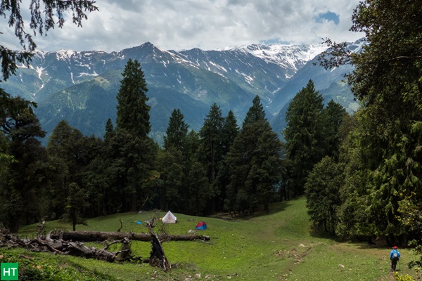 campsite-inside-forest