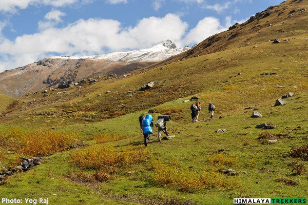 meadows-on-the-way-to-bhrigu-lake