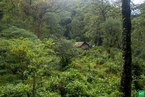 easy-hike-inside-jungle