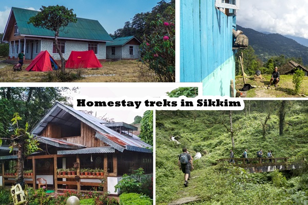 homestay-trek-options-in-sikkim