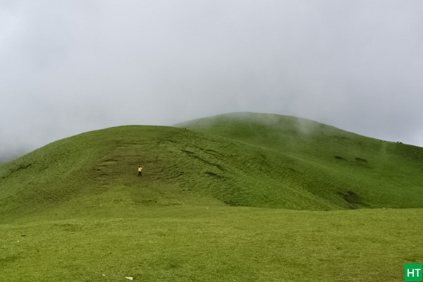 misty-ali-bugyal-in-the-afternoon