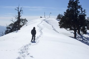 nab-tibba-trek-ht