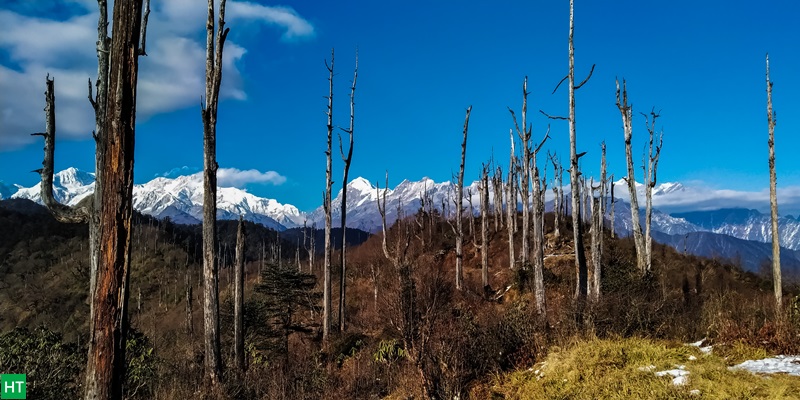 kanchenjunga-and-other-peaks-from-bajre-dara-trail