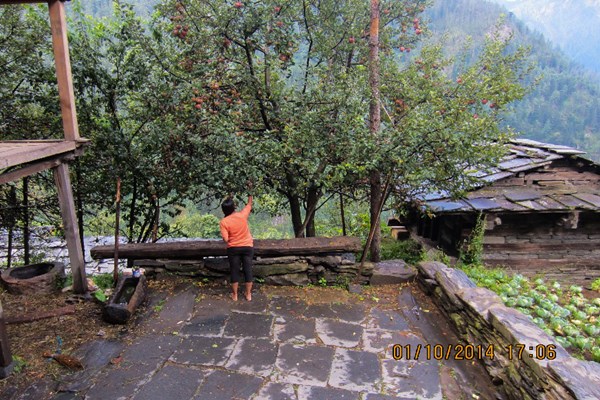 homestay-at-jhaka-village