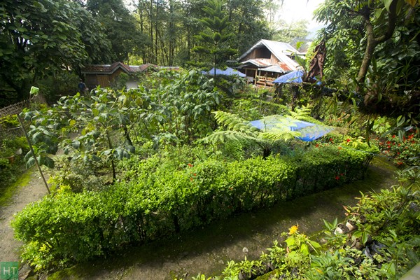 homestay-option-in-yuksom