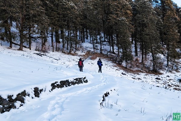 forest-walk-to-goi