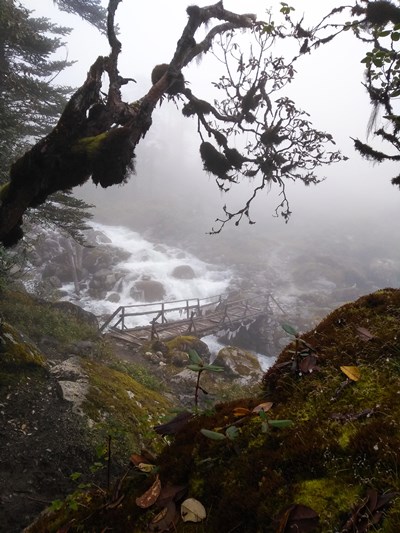 bridge-near-kokchurang