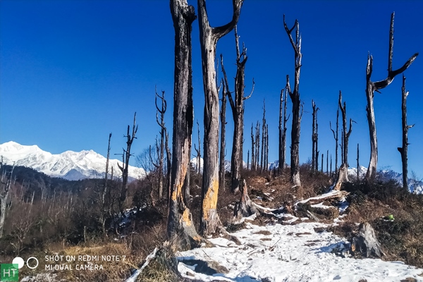 bajre-dara-fresh-winter-trail-in-sikkim