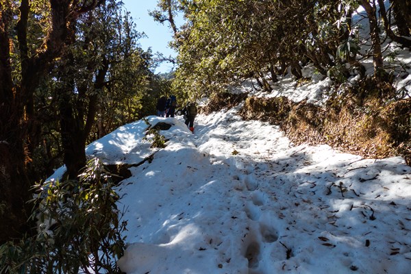 entering-into-snow-trail